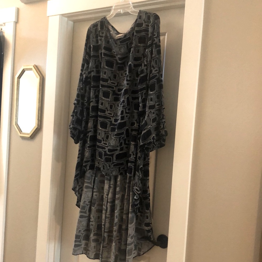 Long sleeved blouse. Extra long in the back.
